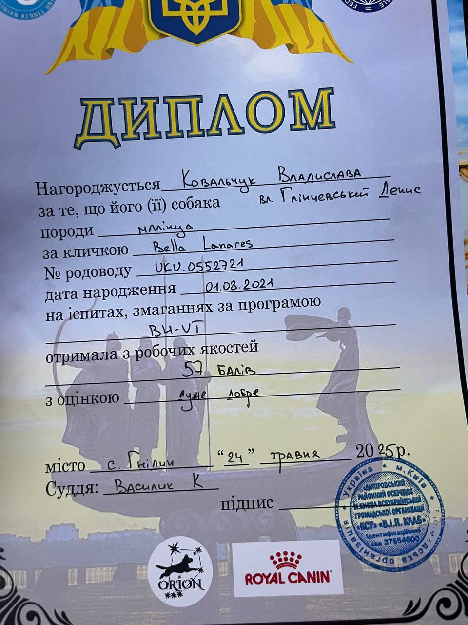 Белла — диплом BH/VT, Денис Глинчевский