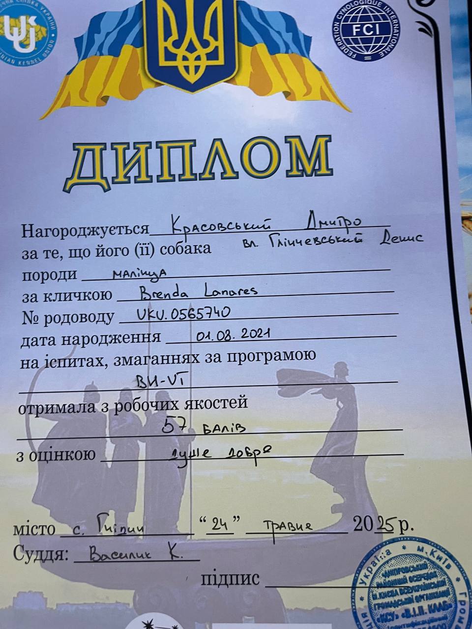 Бренда — диплом BH/VT, Денис Глинчевский